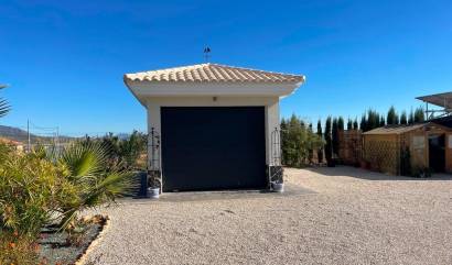 Nueva construcción  - Villa - Pinoso - Camino Del Prado