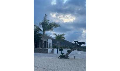 Nueva construcción  - Villa - Pinoso - Casas Pastor