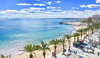Nueva construcción  - Villa - Torrevieja - Lago Jardín II