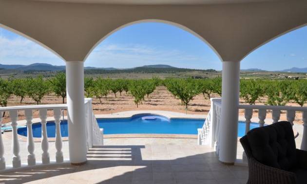 Off Plan/New Build Villa - Sale - Pinoso - Pinoso