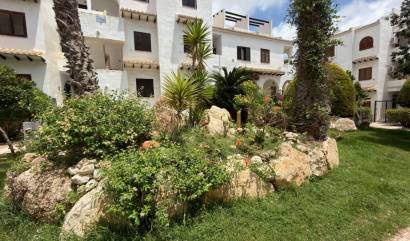 Revente - Apartment - Ciudad Quesada