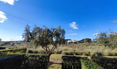 Revente - Apartment - Hacienda Riquelme Golf Resort