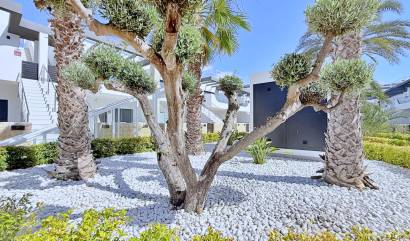 Revente - Apartment - Orihuela Costa - Punta Prima