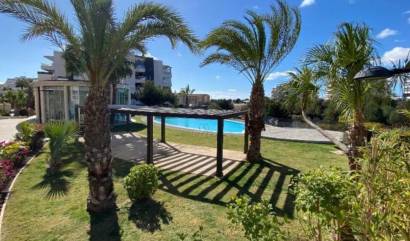Revente - Apartment - Orihuela Costa - Villamartín