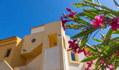 Revente - Apartment - Torrevieja - Los Altos