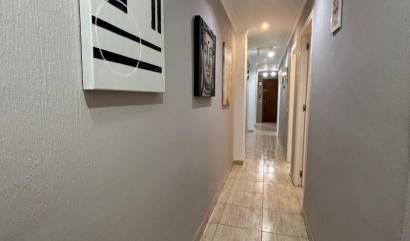 Revente - Apartment - Torrevieja