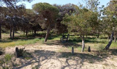 Revente - Bungalow - Guardamar del Segura - Urbanizaciones