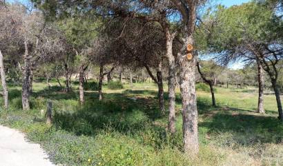 Revente - Bungalow - Guardamar del Segura - Urbanizaciones