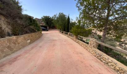 Revente - Commercial - Abanilla