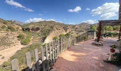 Revente - Commercial - Abanilla