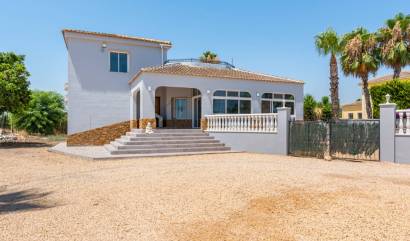 Revente - Country House - Catral