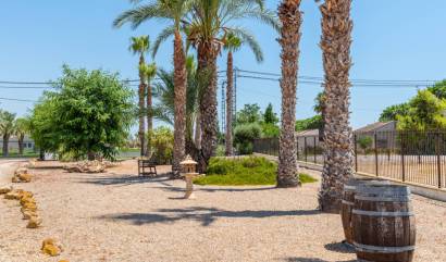 Revente - Country House - Catral