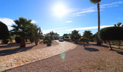 Revente - Country House - Catral