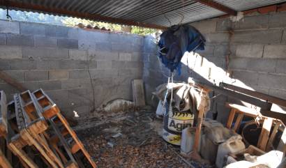 Revente - Country House - Fortuna