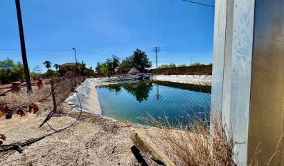 Revente - Country House - Los Montesinos