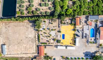 Revente - Country House - Los Montesinos