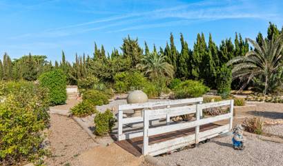 Revente - Country House - Los Montesinos