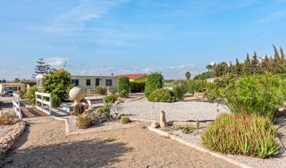 Revente - Country House - Los Montesinos