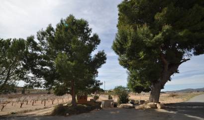 Revente - Country House - Monovar