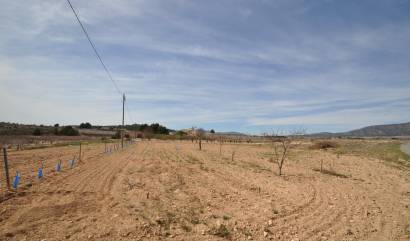 Revente - Country House - Monovar