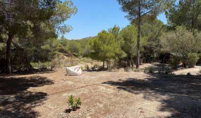 Revente - Country House - Orihuela - Torremendo