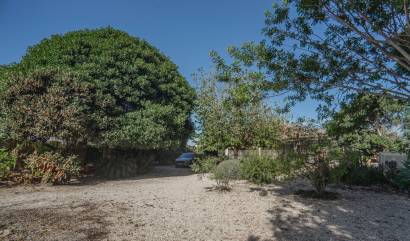 Revente - Country House - Orihuela