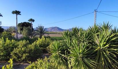 Revente - Country House - Orihuela