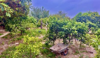 Revente - Country House - Rojales - Ciudad Quesada