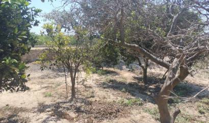 Revente - Country House - Rojales - Ciudad Quesada