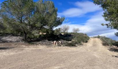 Revente - Country House - Torremendo