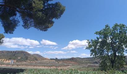 Revente - Country House - Yecla