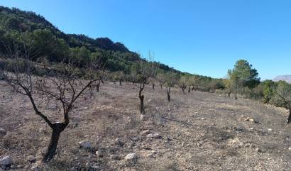 Revente - Country House - Yecla