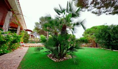 Revente -  - Dehesa de Campoamor - Dehesa de campoamor