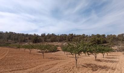 Revente - Land - Abanilla