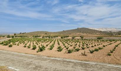 Revente - Land - Abanilla