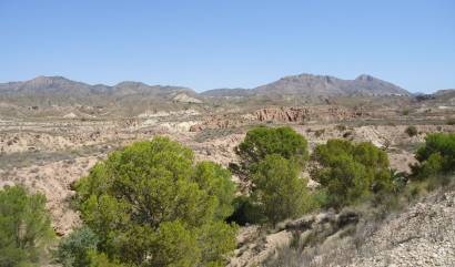 Revente - Land - Abanilla