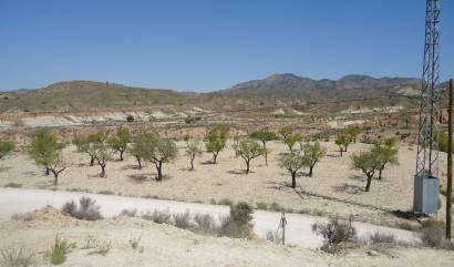 Revente - Land - Abanilla