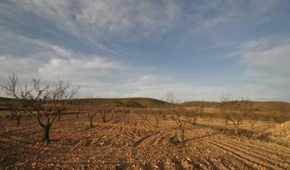 Revente - Land - Abanilla