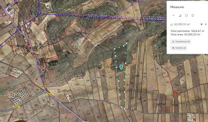 Revente - Land - Abanilla