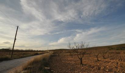 Revente - Land - Abanilla