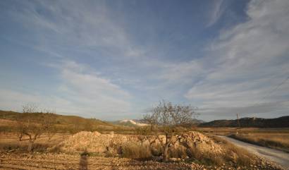 Revente - Land - Abanilla