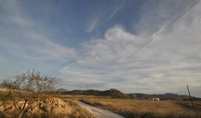 Revente - Land - Abanilla