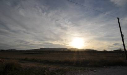 Revente - Land - Abanilla