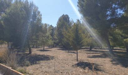 Revente - Land - Benejama