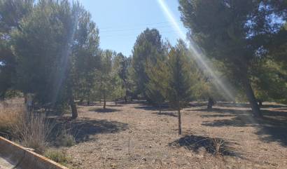 Revente - Land - Benejama