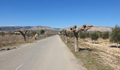 Revente - Land - Benejama