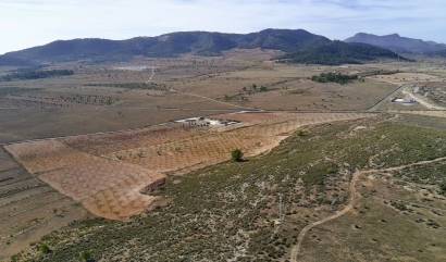 Revente - Land - Canada del Trigo