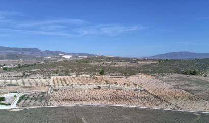 Revente - Land - Canada del Trigo