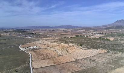 Revente - Land - Canada del Trigo