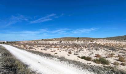 Revente - Land - Canada del Trigo